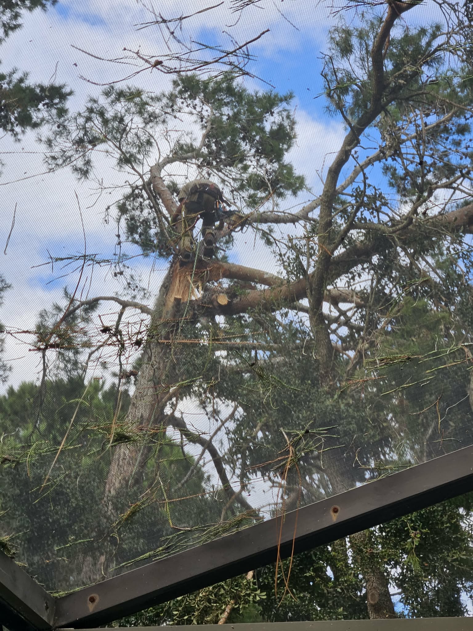Image for Spring Hill Tree Specialists with ID of: 7028170
