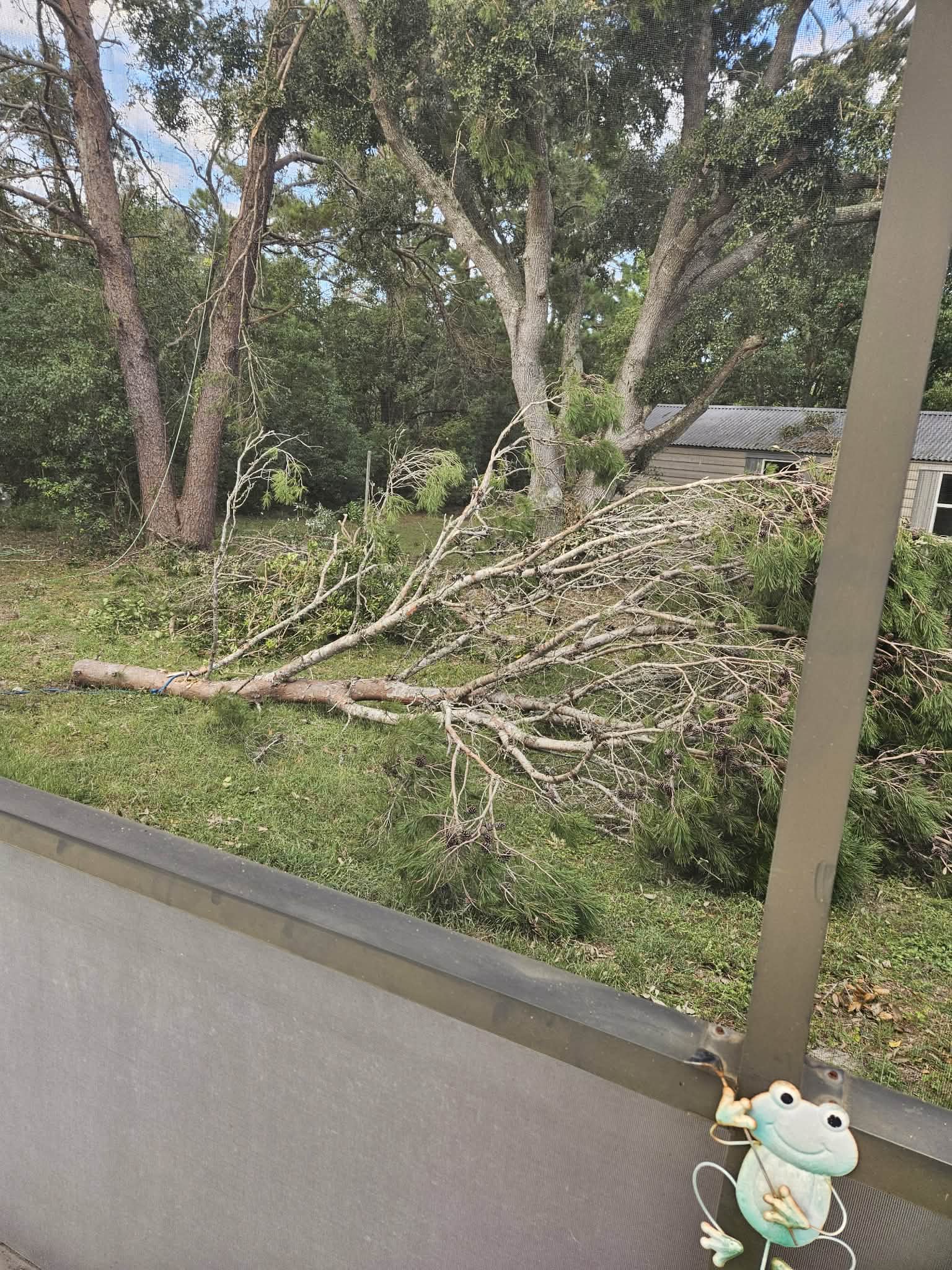 Image for Spring Hill Tree Specialists with ID of: 7028171