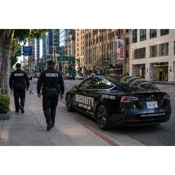Image for Safety Host Unit with ID of: 7028411