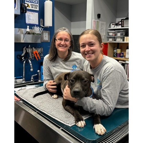 Image for Urgent Pet Care with ID of: 7029676