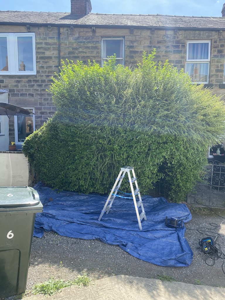 Image for JRB Property Cleaning & Clearance Services with ID of: 7030644