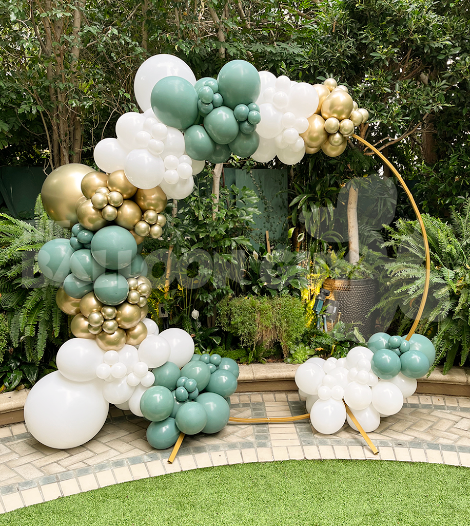 Image for The Balloon Guy with ID of: 7030731