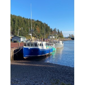 Image for Beach Street Inn with ID of: 7030800