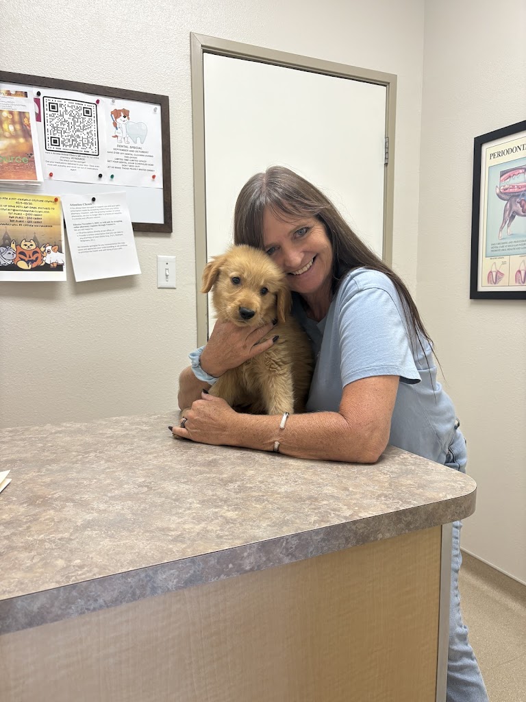 Image for Acoma Animal Clinic with ID of: 7031359