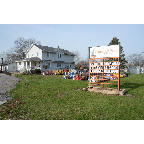 Image for Pumpkin Patch Market with ID of: 7033369