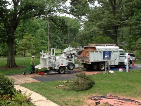 Image for RTEC Treecare with ID of: 7034995