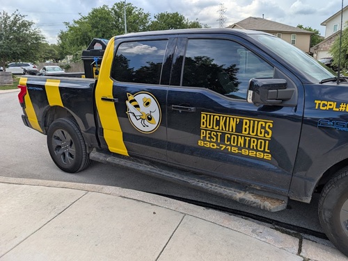 Image for Buckin' Bugs Pest Control with ID of: 7036645
