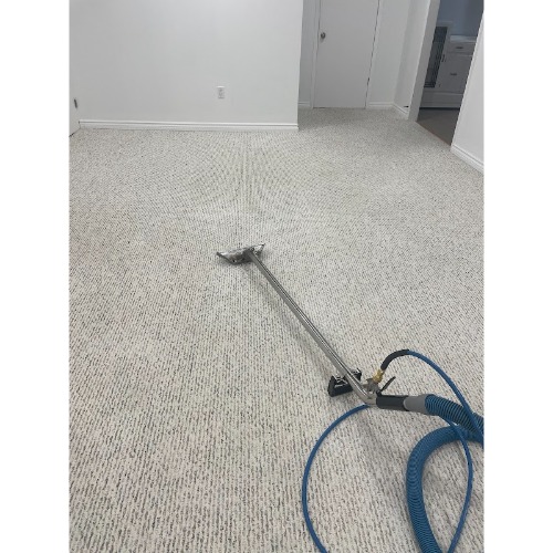 Image for Healthy Carpet Care with ID of: 7037010