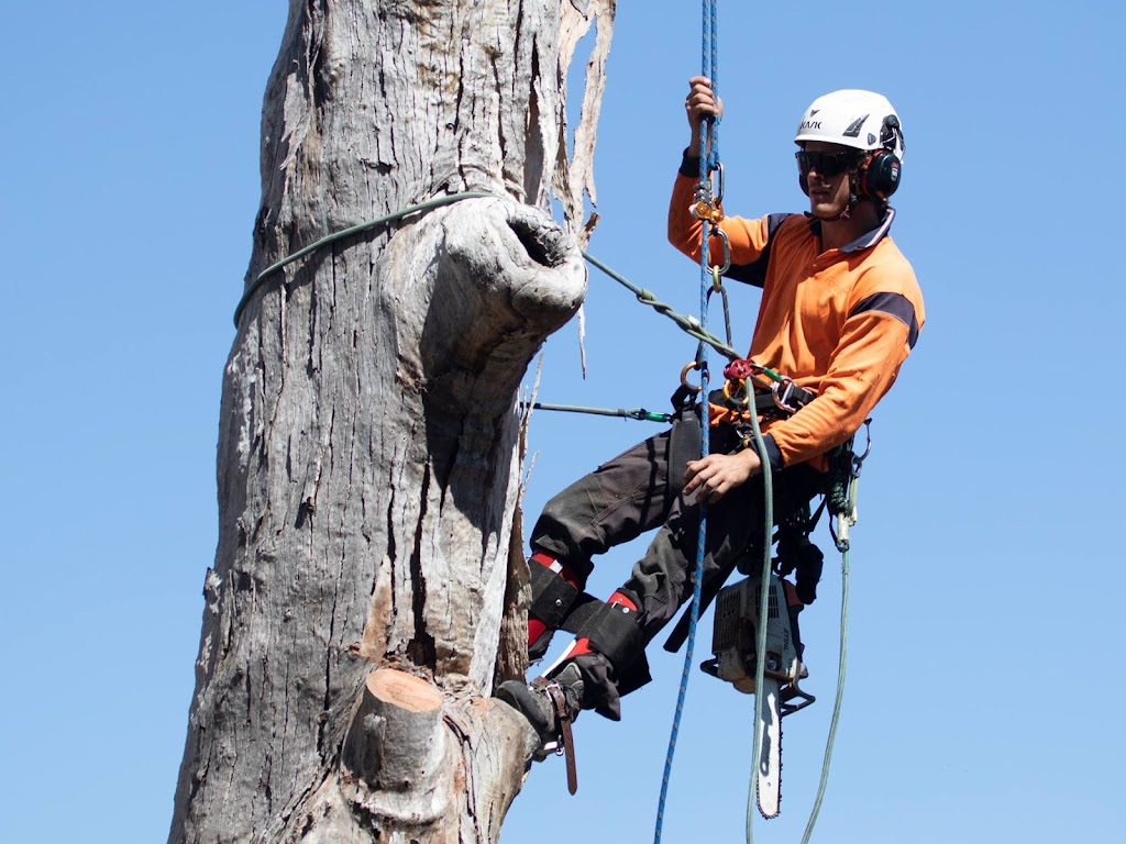 Image for Climbcare with ID of: 7038804
