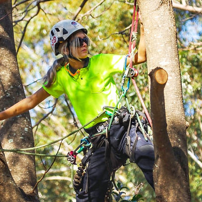 Image for Treemates with ID of: 7039068
