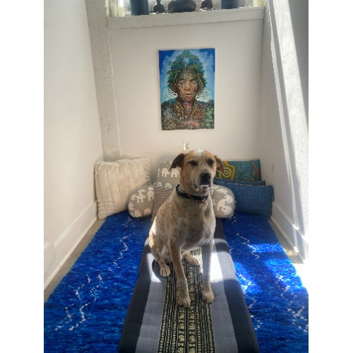 Image for Brooklyn Psychedelic Psychotherapy with ID of: 7040961