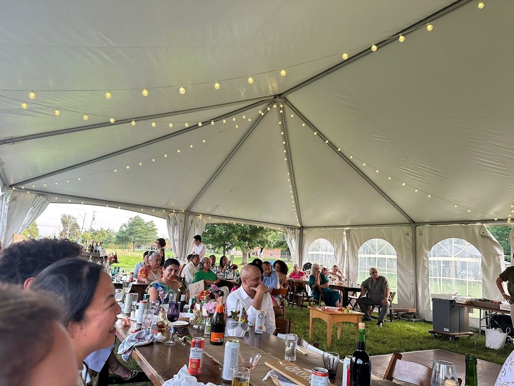 Image for Party Connection with ID of: 7041086