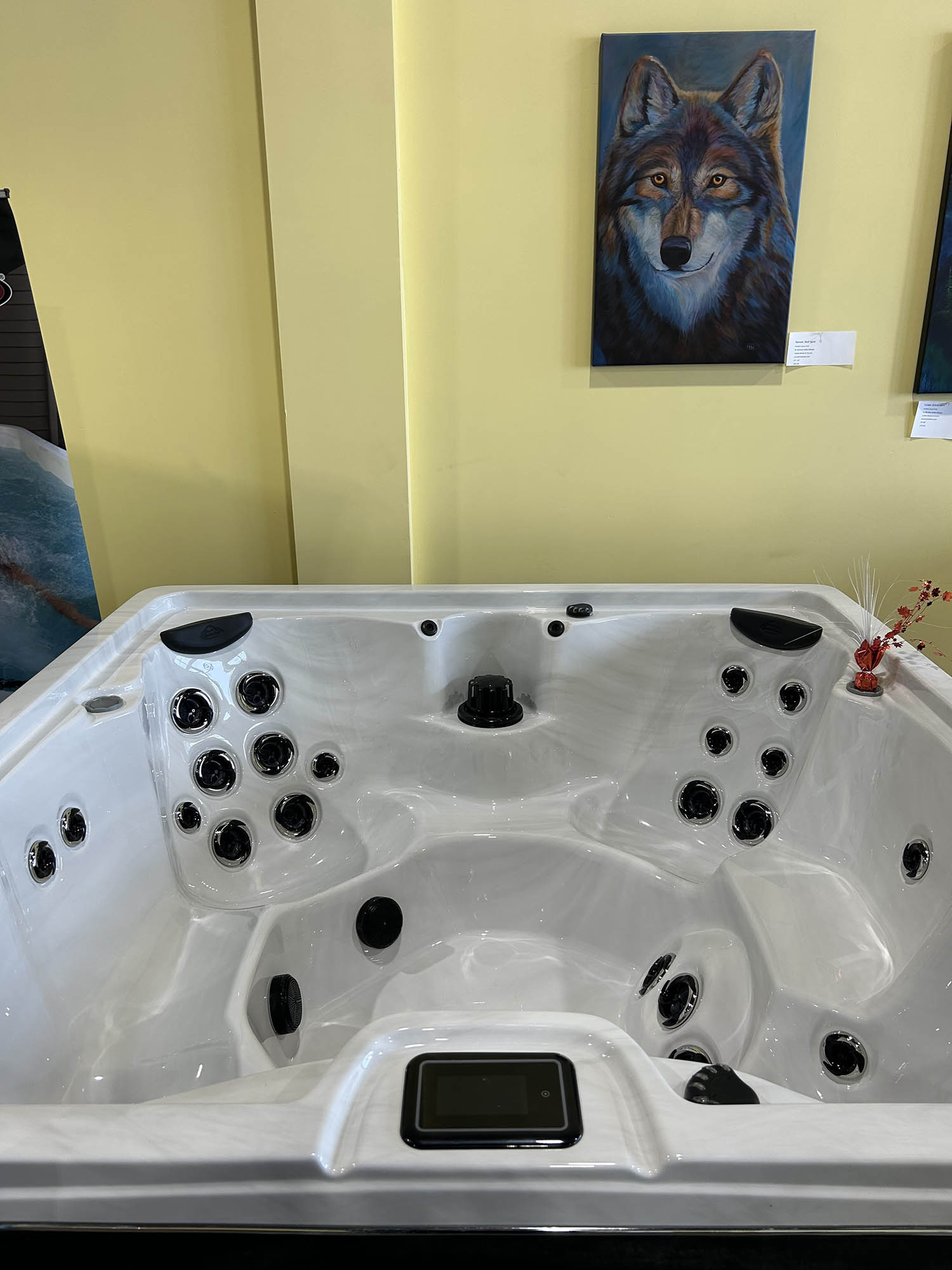 Image for Arctic Spas Prince George with ID of: 7041648