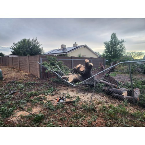 Image for A and C Tree Services with ID of: 7043457