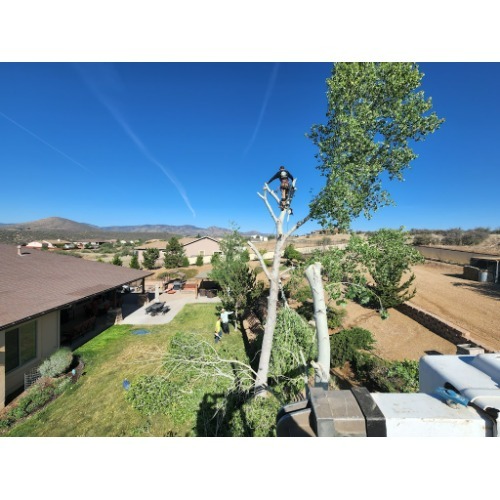 Image for A and C Tree Services with ID of: 7043458