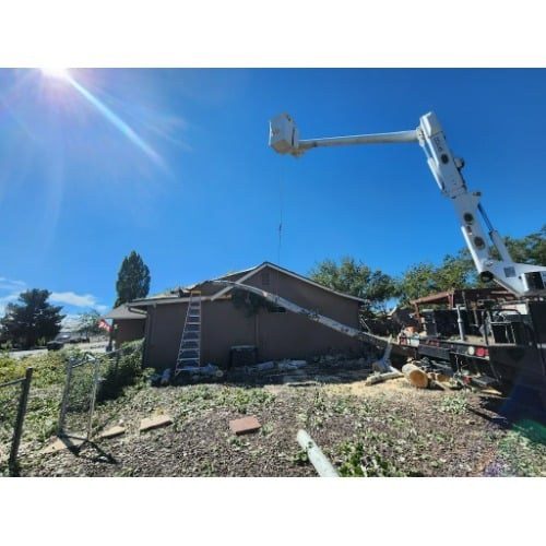 Image for A and C Tree Services with ID of: 7043459