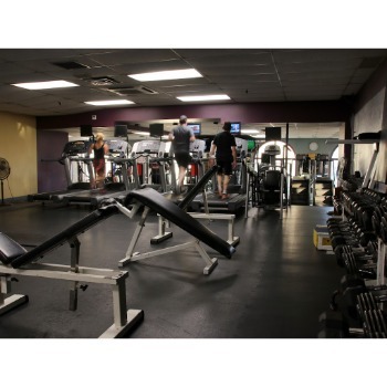 Image for Physiotherapy Works with ID of: 7044644