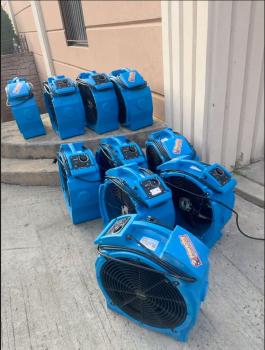 Image for Menchy Cleaning & Restoration with ID of: 7046024