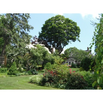 Image for Growing Solutions with ID of: 7046673