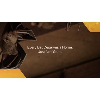 Image for CP Bat Mitigation with ID of: 7047474