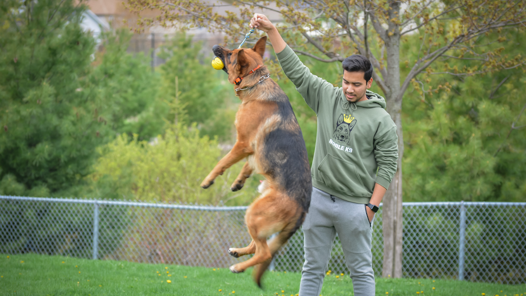 Image for Noble K9 with ID of: 7051285