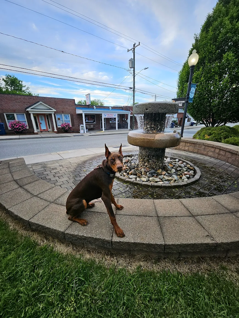 Image for Off Leash K9 Training Winston-Salem with ID of: 7052288