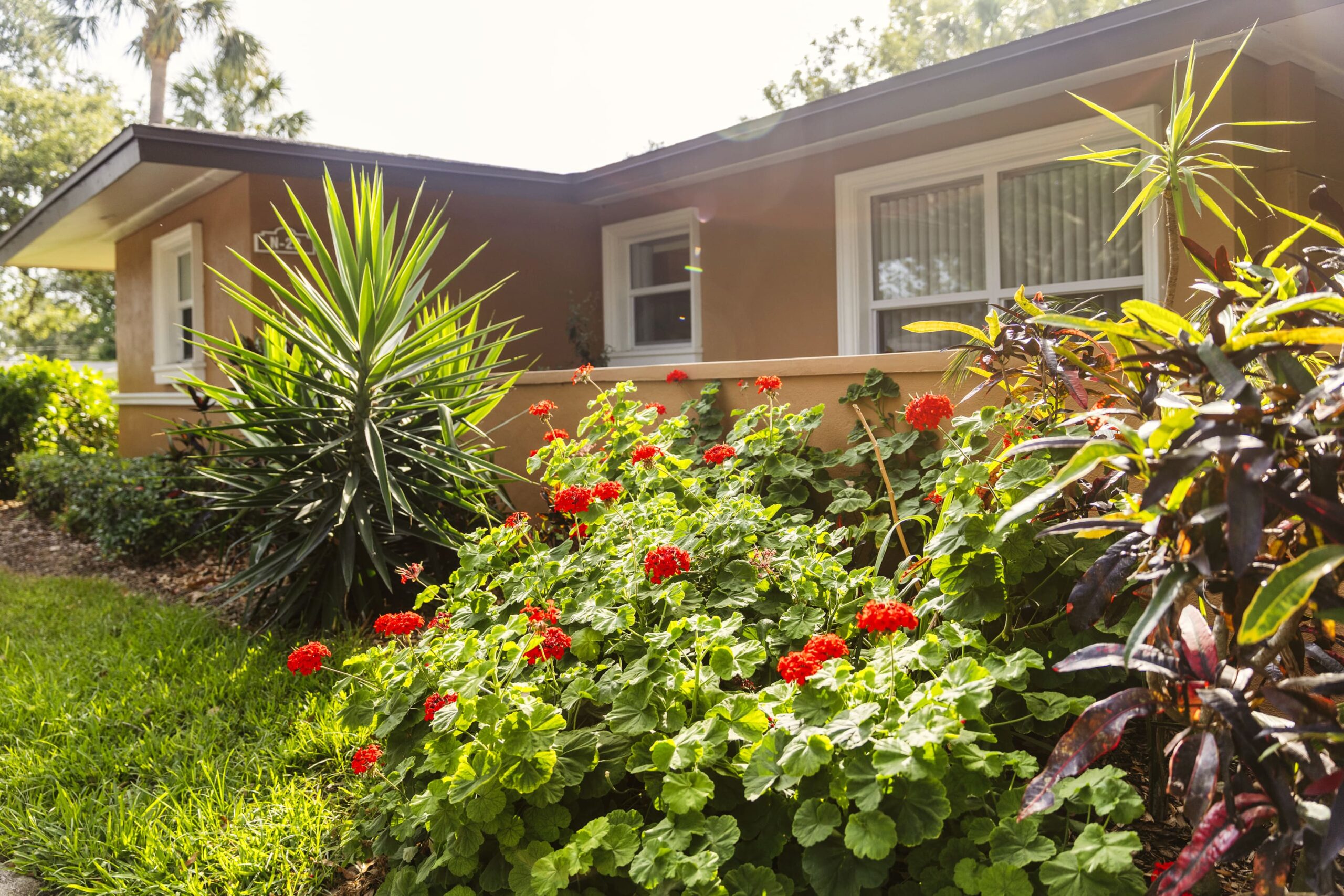 Image for Westminster Suncoast with ID of: 7052914