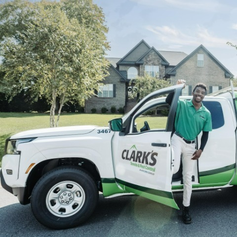 Image for Clark's Termite & Pest Control with ID of: 7055632