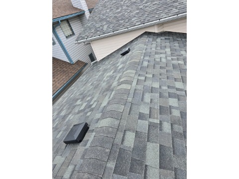 Image for APEX Roofing Repair INC with ID of: 7056018