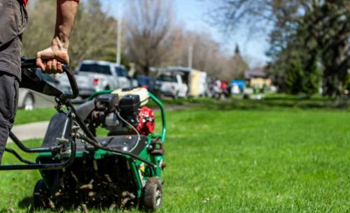 Image for Heartland Lawns with ID of: 7057335