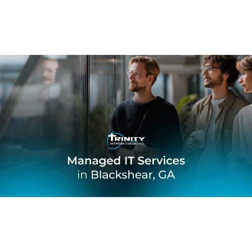 Image for Trinity Network Consulting - Blackshear Managed IT Services Company with ID of: 7057553