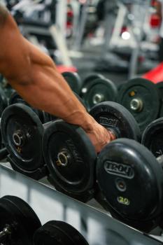 Image for Austin Morell Training with ID of: 7057811