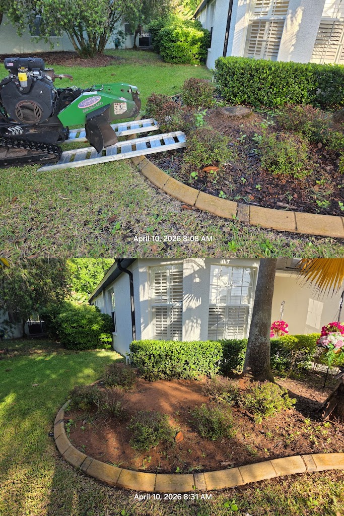 Image for Stump Professionals LLC with ID of: 7058373