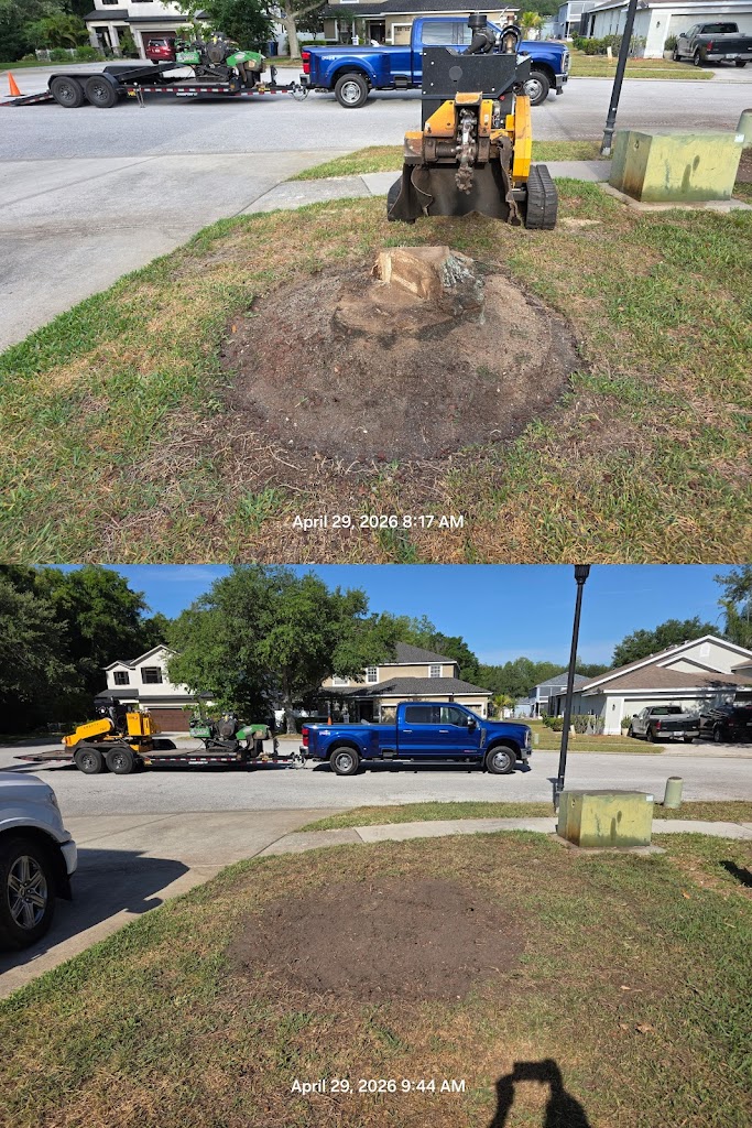 Image for Stump Professionals LLC with ID of: 7058375