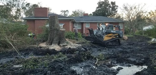 Image for Bryce Tree Service with ID of: 7059694