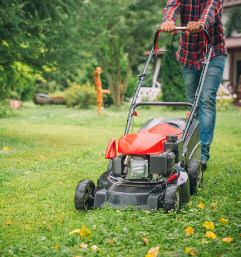 Image for Green Acres Mowers with ID of: 7059695
