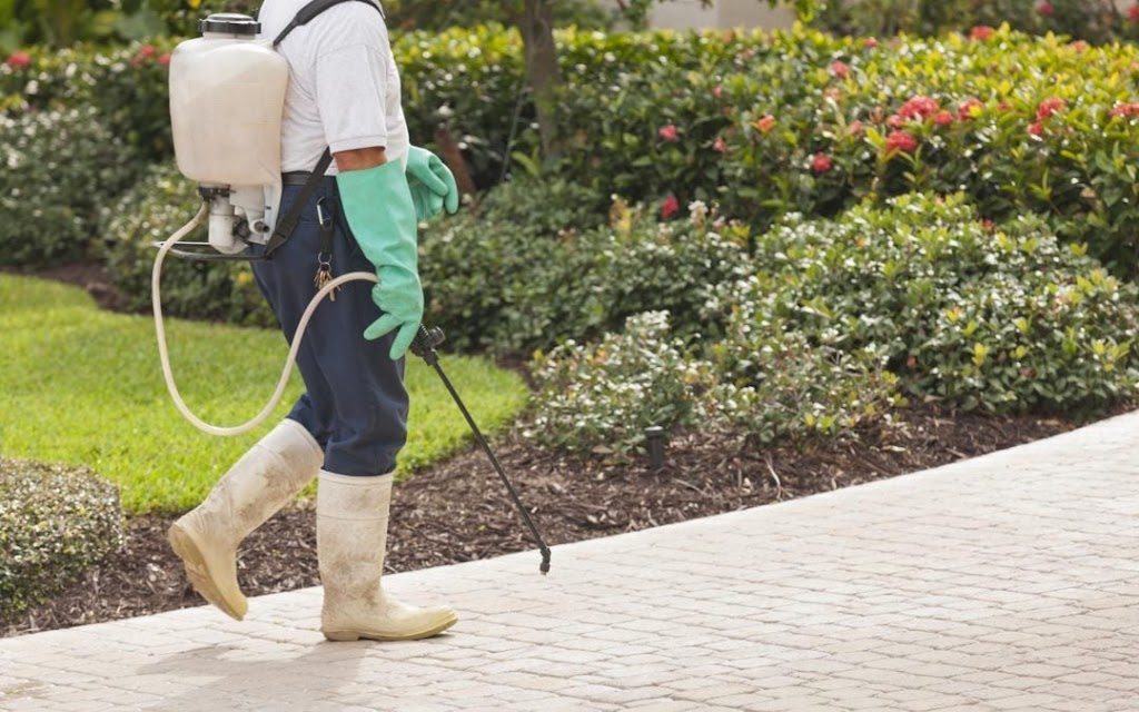 Image for Rowdi Fella's Pest Control with ID of: 7059900