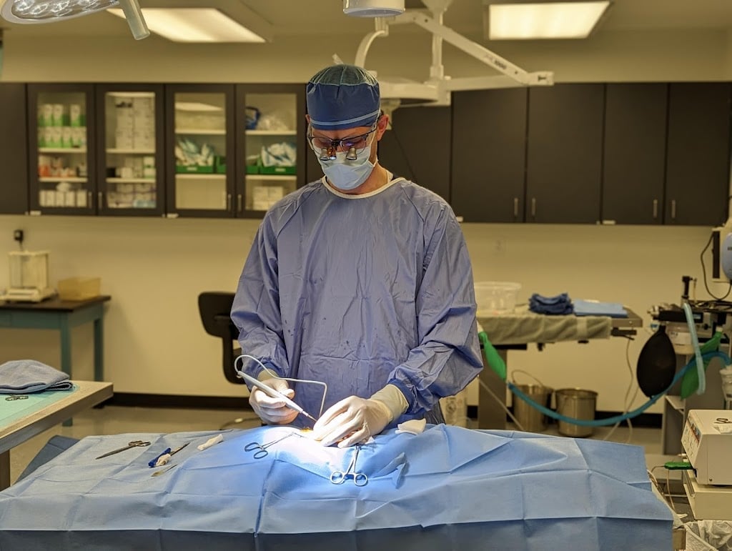 Image for IBEX Preclinical Research with ID of: 7060057
