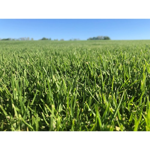 Image for Lawn Industries with ID of: 7061274