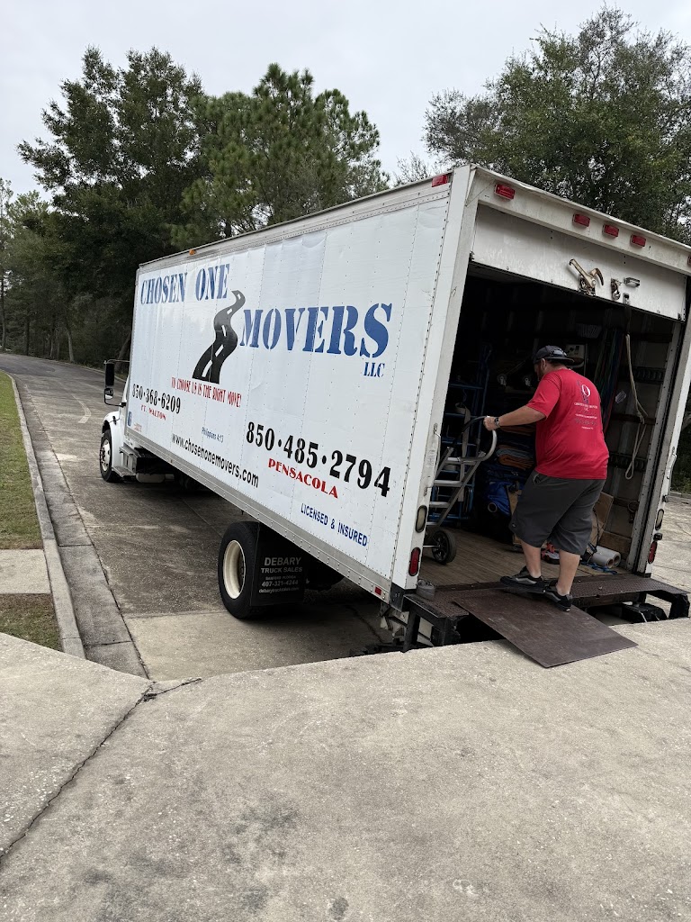 Image for Chosen One Movers with ID of: 7062739