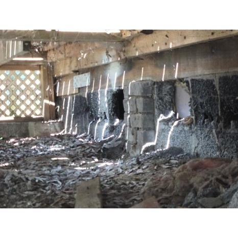 Image for Optimal Termite & Pest Control with ID of: 7063118