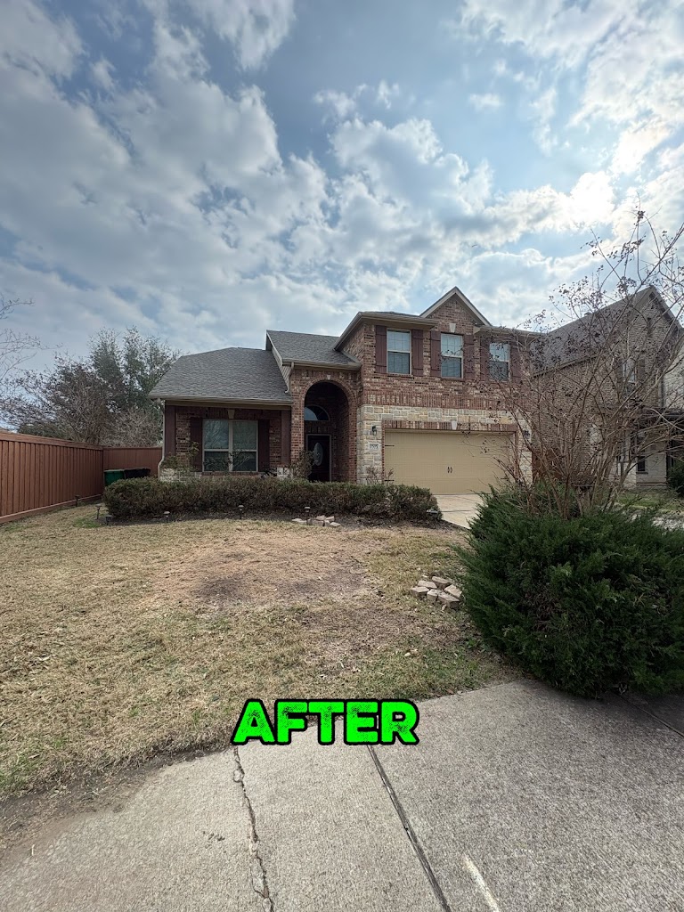 Image for I&B Professional Tree Service with ID of: 7063271