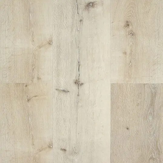 Image for Floorplan Studio with ID of: 7064099