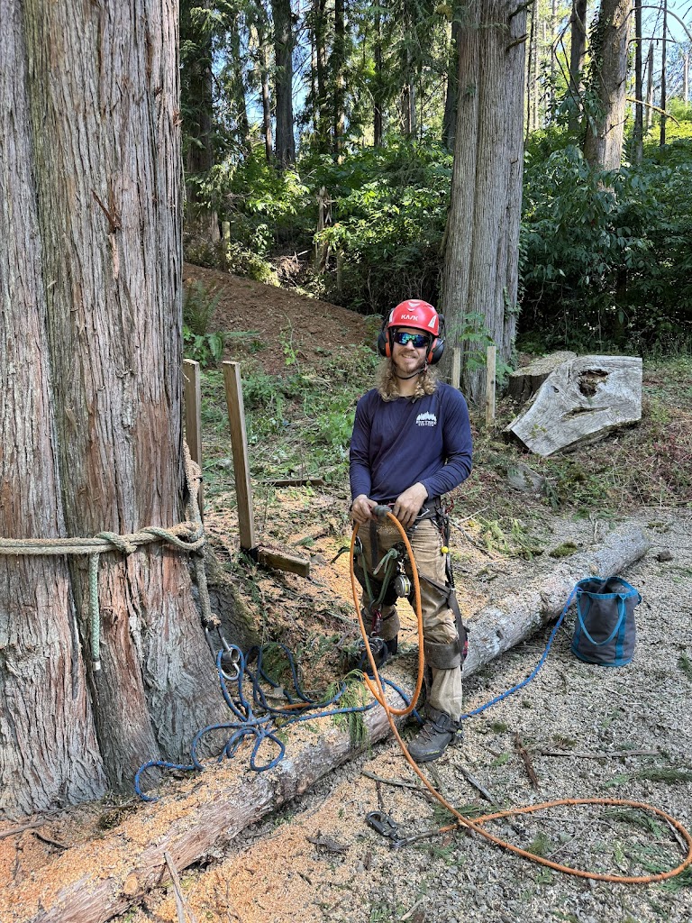 Image for PDX Tree Service, Inc. with ID of: 7064535