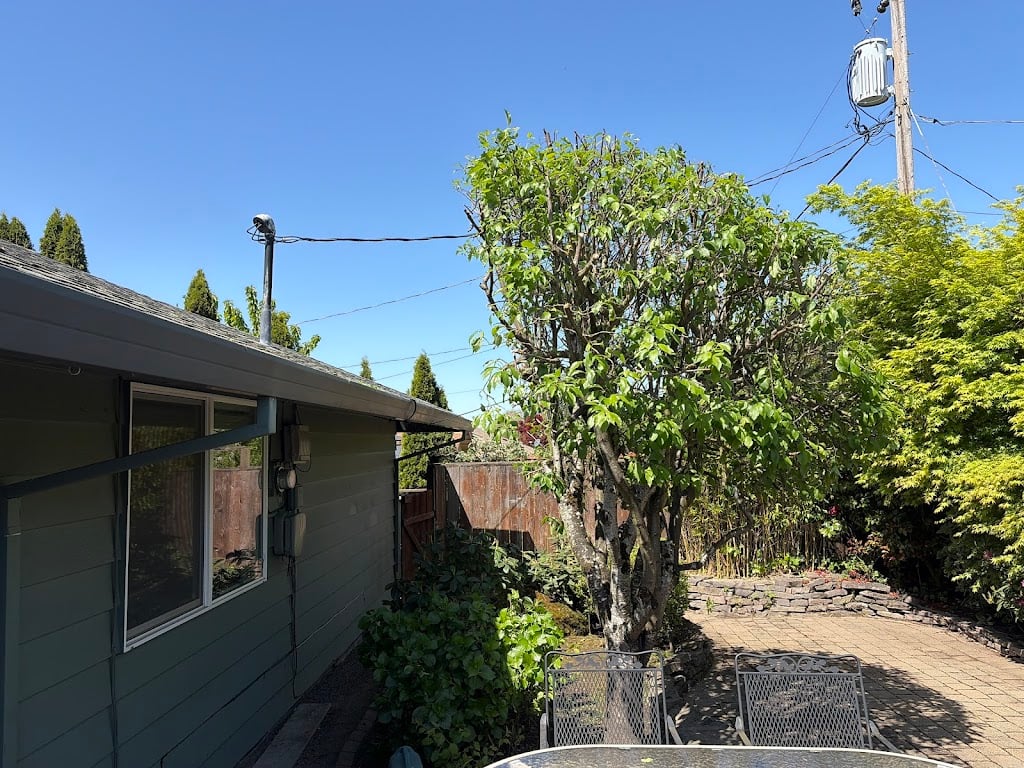 Image for PDX Tree Service, Inc. with ID of: 7064536