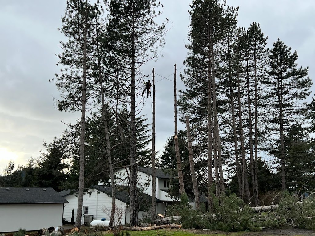 Image for Air Arborist with ID of: 7066412