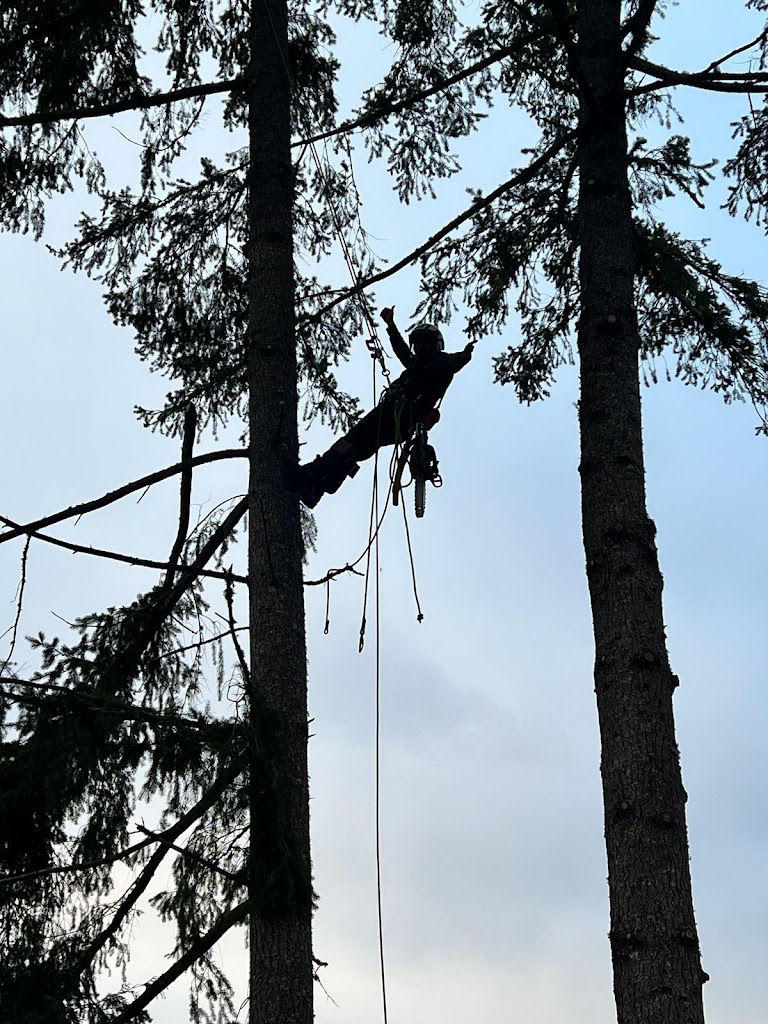 Image for Air Arborist with ID of: 7066418
