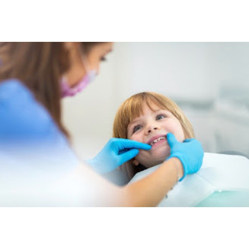 Image for KidCo Pediatric Dentists with ID of: 7066562