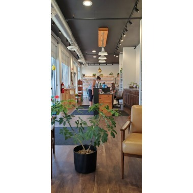Image for inVista Optical with ID of: 7067193