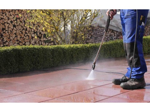 Image for Palmetto Can Cleaning with ID of: 7067374